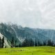 Kashmir Tour Package
